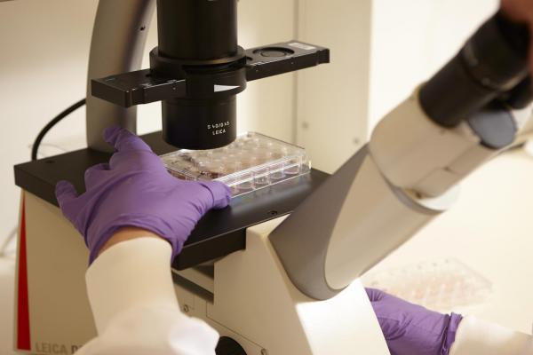 Corona financiering onderzoeken KiKa