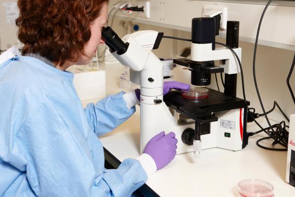 Nieuw type kankercel gevonden bij kinderen met neuroblastoom